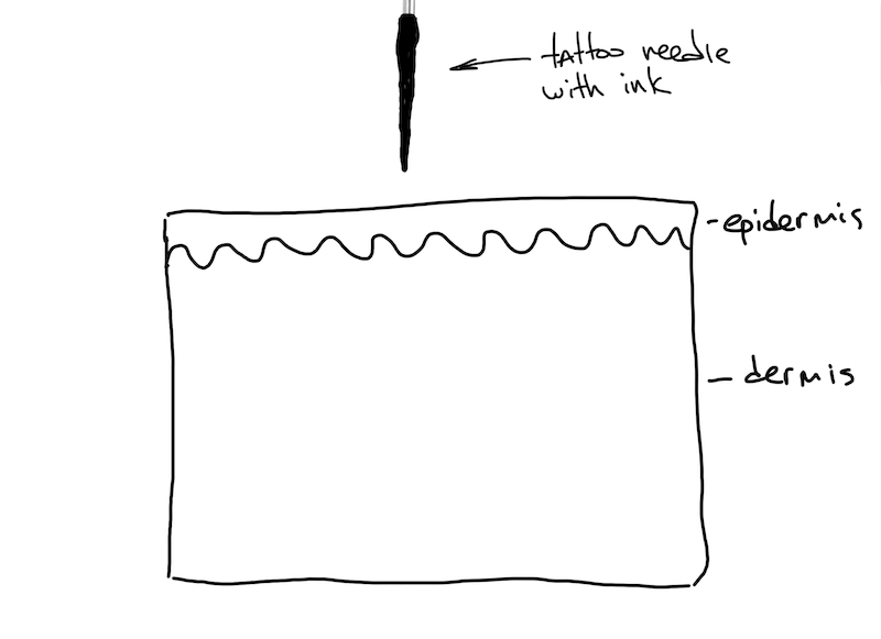 How does PMU ink enter the Skin