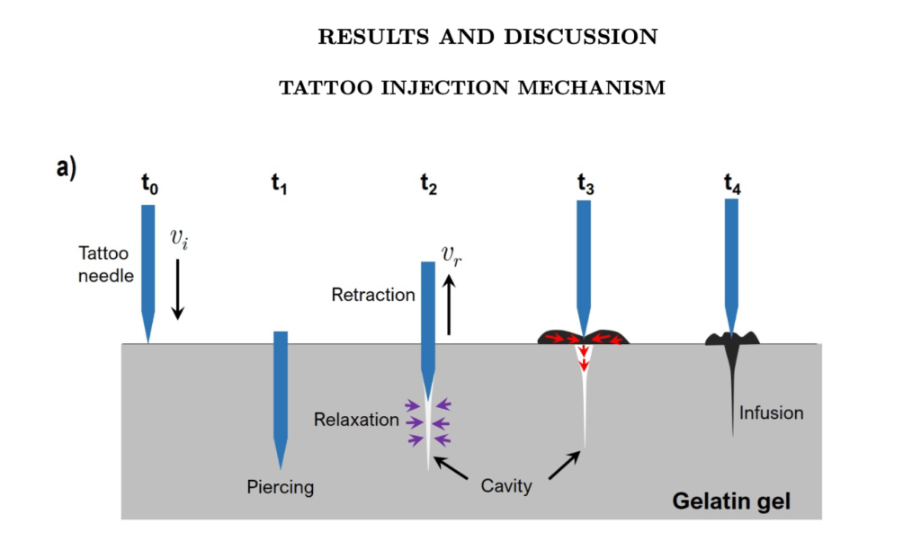 biomechanic of ink injection in skin